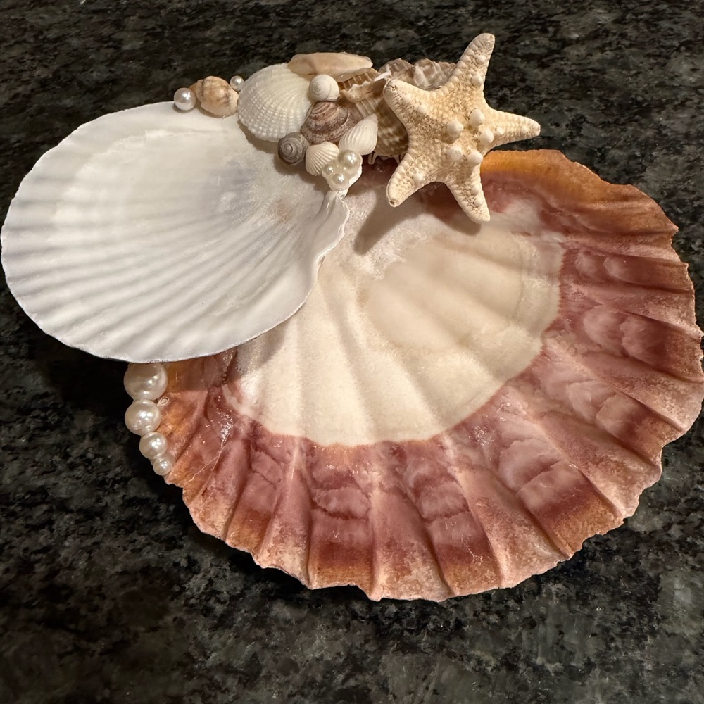 Decorative Seashell and Starfish Set